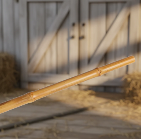 Zootehnie - Coadă bambus pentru mătură 100 cm – ușor și durabil