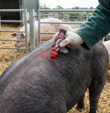 Creion roșu pentru marcarea animalelor RAIDEX [1]