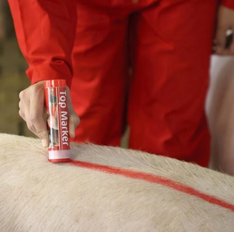 Creion roșu pentru marcarea animalelor TopMarker [3]