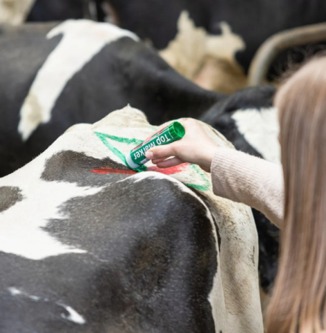 Creion verde pentru marcarea animalelor TopMarker [2]