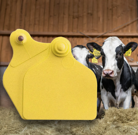 Zootehnie - Crotalii bovine Maxi+Maxi 20 buc galben