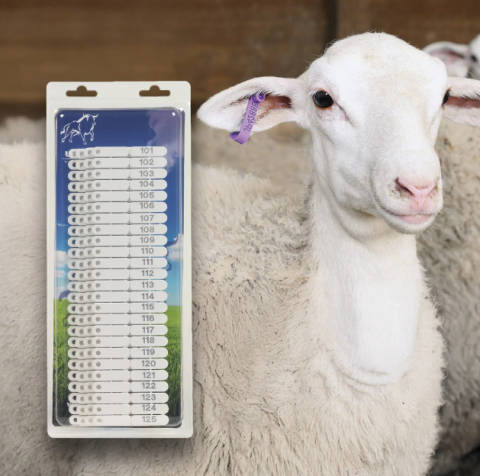 Zootehnie - Crotalii pentru oi capre porci alb 100 buc