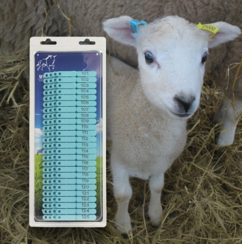 Zootehnie - Crotalii pentru oi, capre, porci, albastru, 100 buc