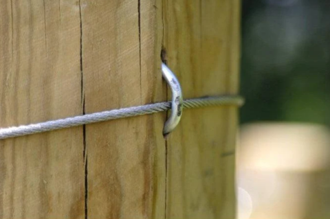 Cuie șoabă 3.8×47 mm ZN – 50 buc [1]