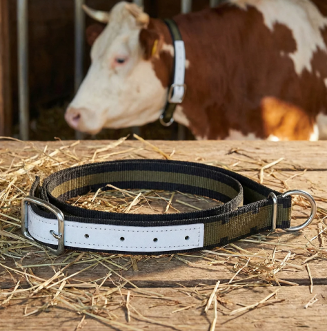 Îngrijirea animalelor - Curea legat vite 85cm 4cm cu verigă reglabilă