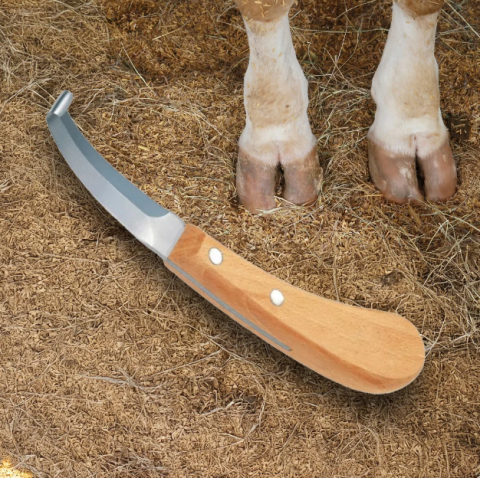 Îngrijirea animalelor - Cuțit pentru copite și ongloane lamă dublă Profi