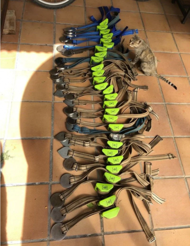 Zgardă GPS pentru monitorizarea și localizarea animalelor [12]