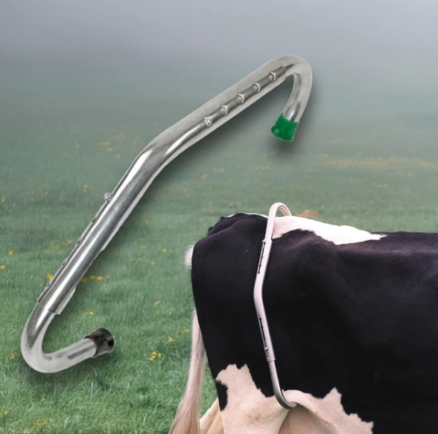 Produse Veterinare - Dispozitiv pentru imobilizat vaci