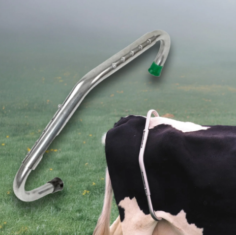 Produse Veterinare - Dispozitiv pentru imobilizat vaci din INOX