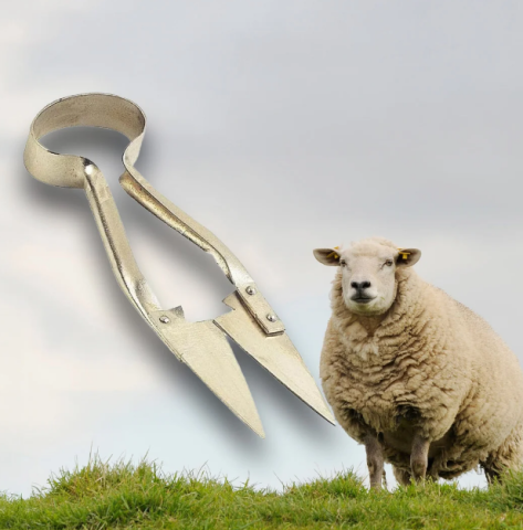 Îngrijirea animalelor - Foarfecă tuns oi nichelată 29 cm