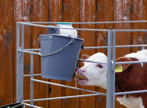 Găleată adăpare viței 8L cu suzetă – gri [2]