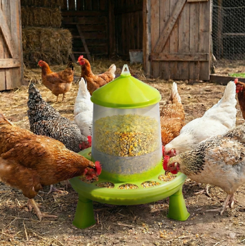 Hrănitoare - Hranitoare pui/gaina plastic cu picioare sprijin