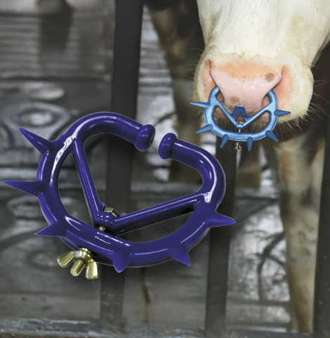 Produse Veterinare - Inel nazal antisupt mediu set 2 buc - albastru