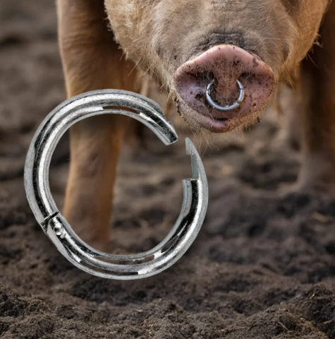 Produse Veterinare - Inele nazale pentru porci – set 10 bucăți