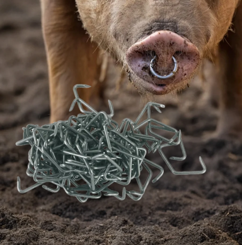 Produse Veterinare - Inele nazale pentru porci set 100 buc