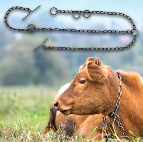 Îngrijirea animalelor - Lanț pentru bovine 2,15 m