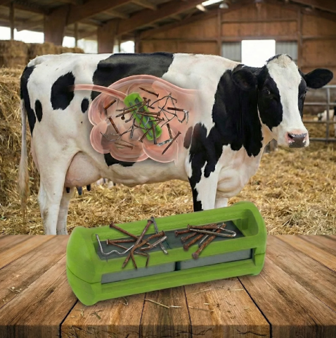 Zootehnie - Magnet stomacal pentru bovine cu protecție verde