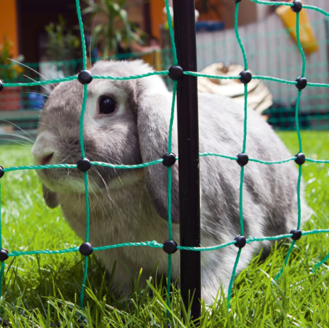 Plasă gard electric pentru iepuri 50 m – 65 cm, verde/negru [2]