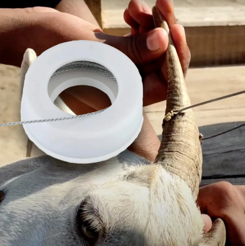 Produse Veterinare - Sârmă pentru tăiere și ecornare – Liess