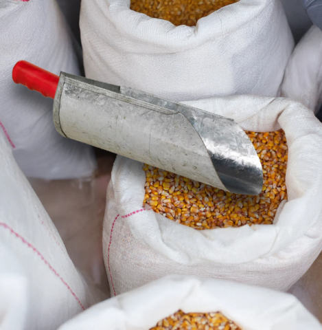 Hrănitoare - Scafă metalică pentru furaje 2L