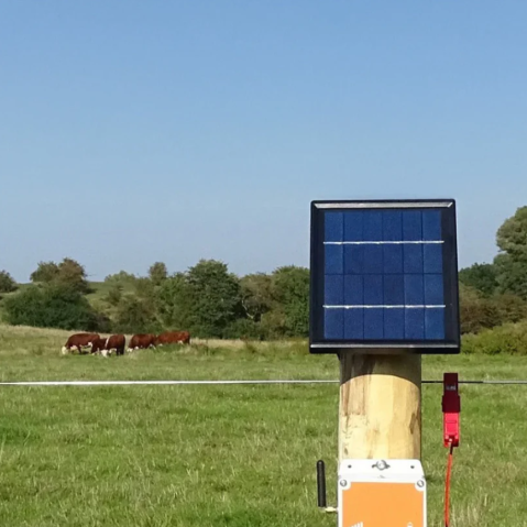 Senzor întrerupere gard electric [2]