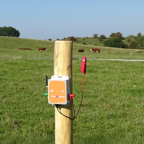 Diferite accesorii Gard Electric - Senzor întrerupere gard electric