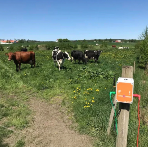 Senzor întrerupere gard electric [4]