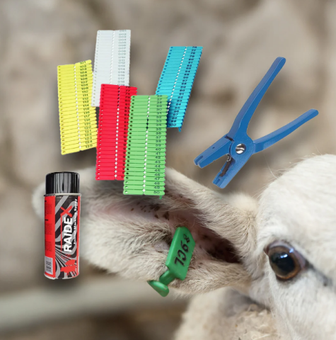 Zootehnie - Set crotalii pentru oi, capre, porci 1-200 cu cleste si spray