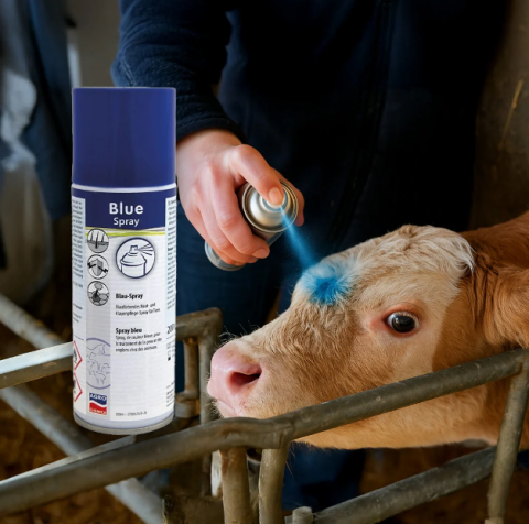 Îngrijirea animalelor - Spray îngrijire și dezinfectare pentru animale albastru 200 ml