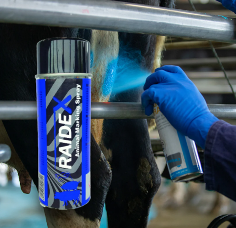 Marcarea Animalelor - Spray marcare bovine,suine Raidex albastru