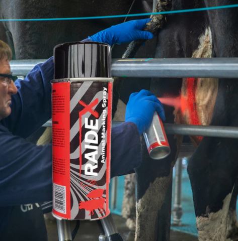 Marcarea Animalelor - Spray marcare bovine,suine Raidex rosu