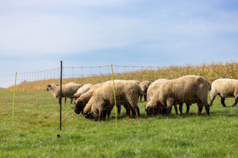 Stâlp de sprijin din oțel galvanizat pentru plasă gard electric – 120 cm [5]