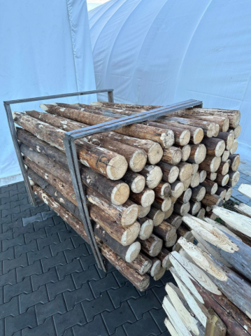 Stâlpișori lemn netratați pentru gard electric [1]