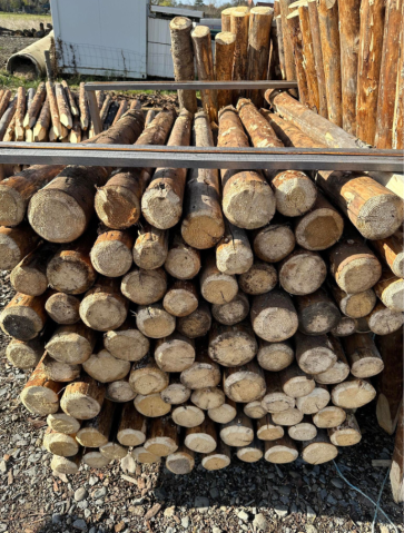 Accesorii gard Electric - Stâlpișori lemn netratați pentru gard electric