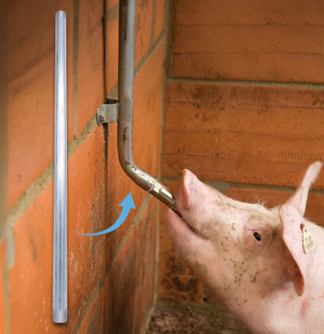 Zootehnie - Țeavă zincată pentru adăpători – 50 cm, filet 1/2