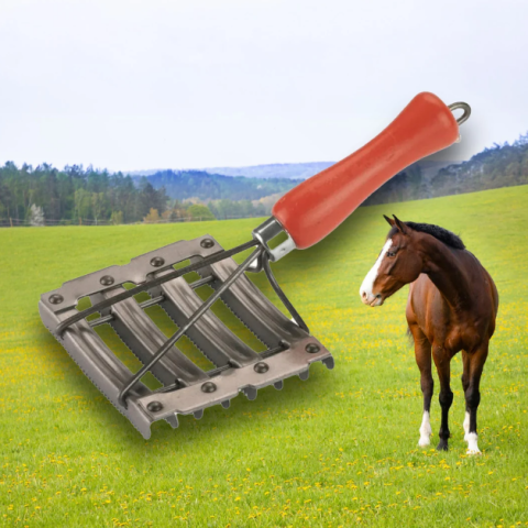 Îngrijirea animalelor - Tesală metalică mâner lemn