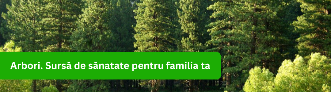 Banner categorie arbori_2024