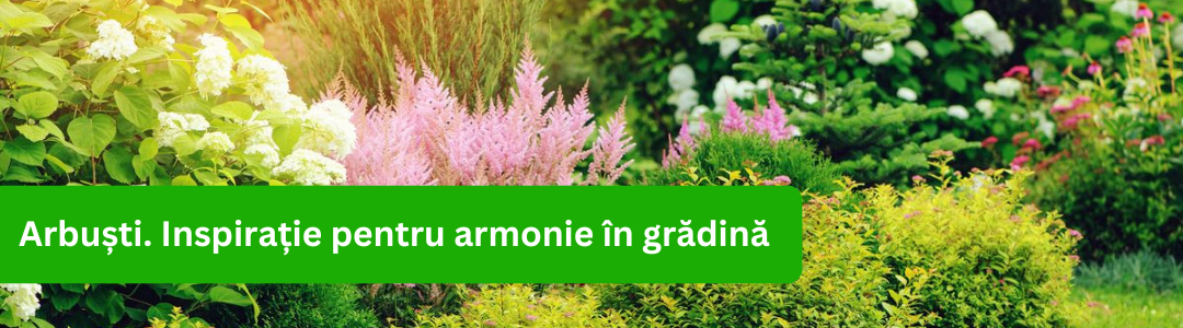 Banner categorie arbusti_2024