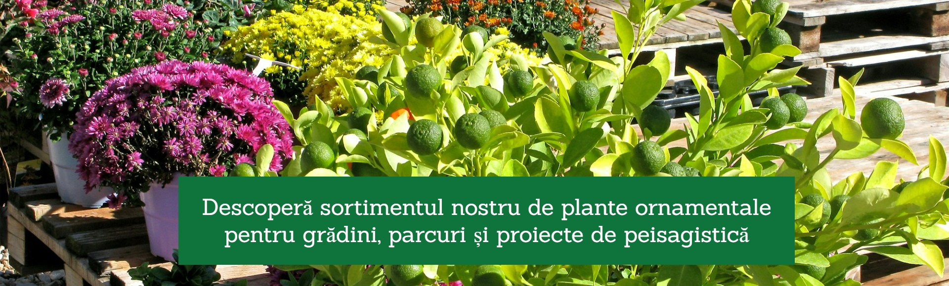 Descopera produsele GardenPoint