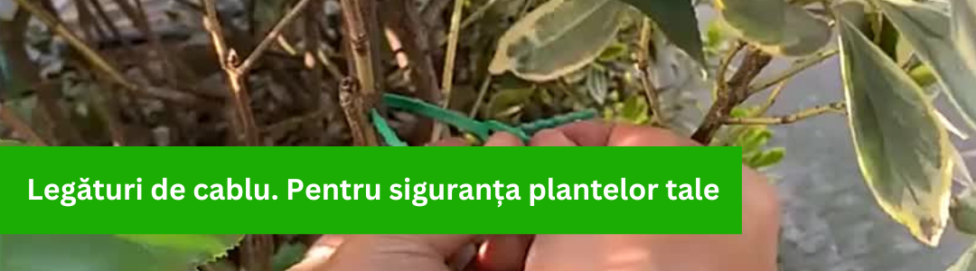 Banner_Legaturi de cablu