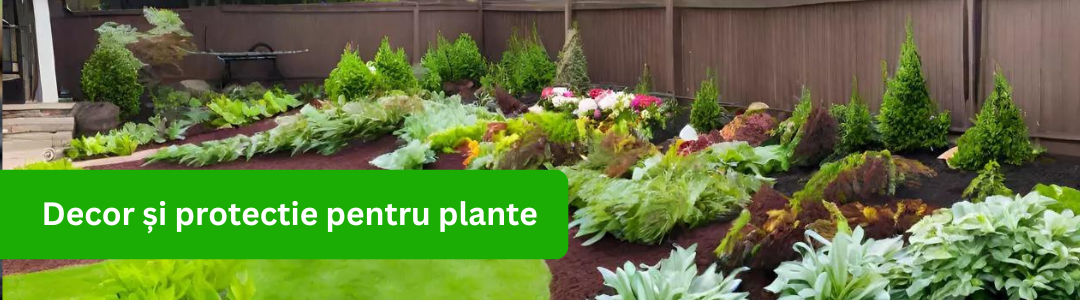 Decor si protectie plante_garden-center.ro