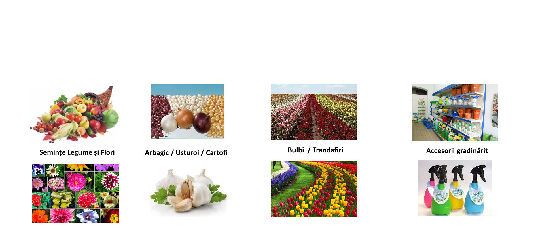 Semințe și accesorii gradinărit