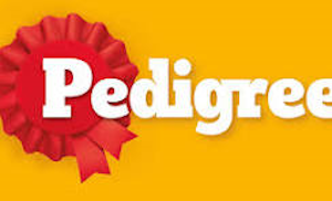 Pedigree Hrană Umedă Câini Adulți cu Vită 400 g | Conservă | Gărgărița Market [2]