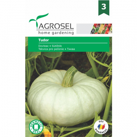 Casă și Grădină - Semințe Dovleac se copt Tudor - 4G