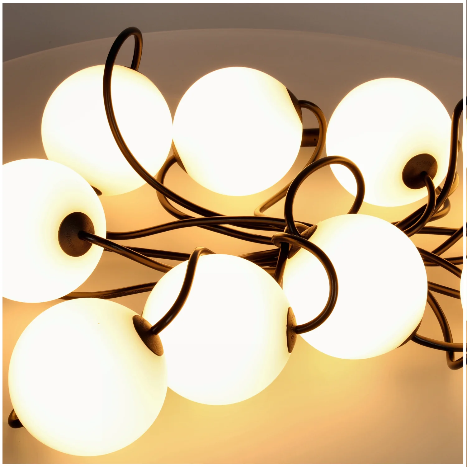 Ghirlanda profesionala 10 bile LED, IP67, 2500K, PREMIUM [6]