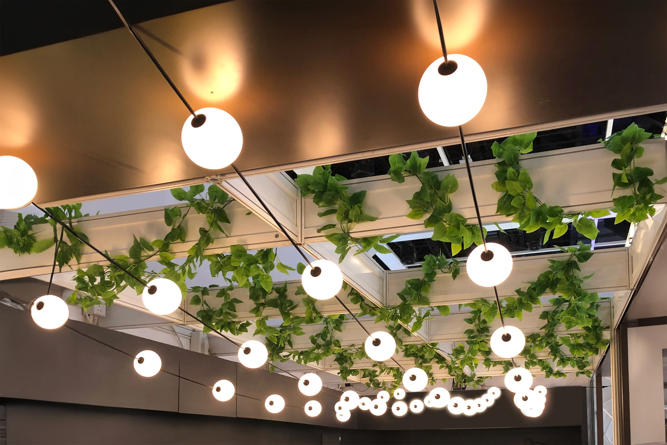Ghirlanda profesionala 10 bile LED, IP67, 2500K, PREMIUM [2]