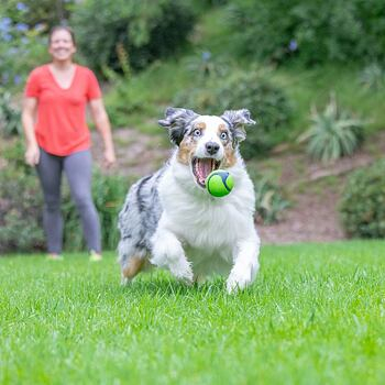 Chuckit! Sniff Ball cu aromă de unt de arahide 6,5 cm [5]