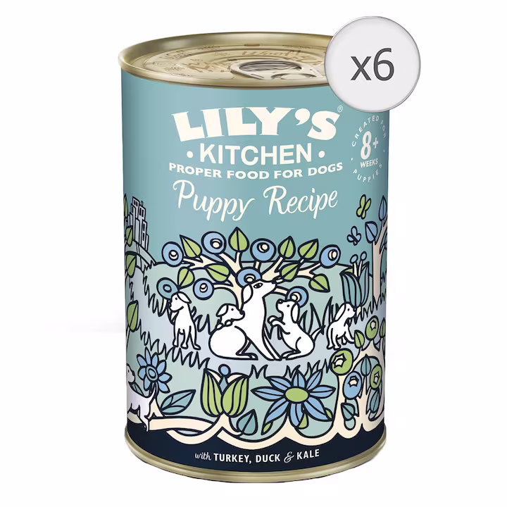 Hrană umedă - Hrana umeda pentru caini Lily's Kitchen Puppy Recipe With Turkey, Duck & Kale, 6 x 400g