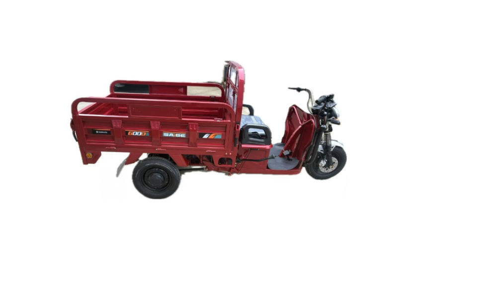 Triciclu electric de marfă [3]