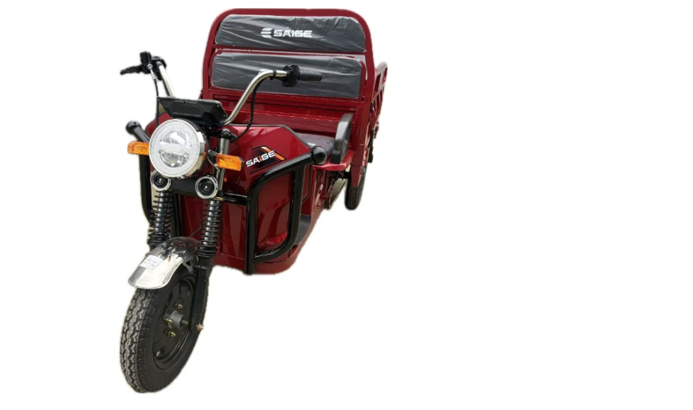 Triciclu electric de marfă [2]